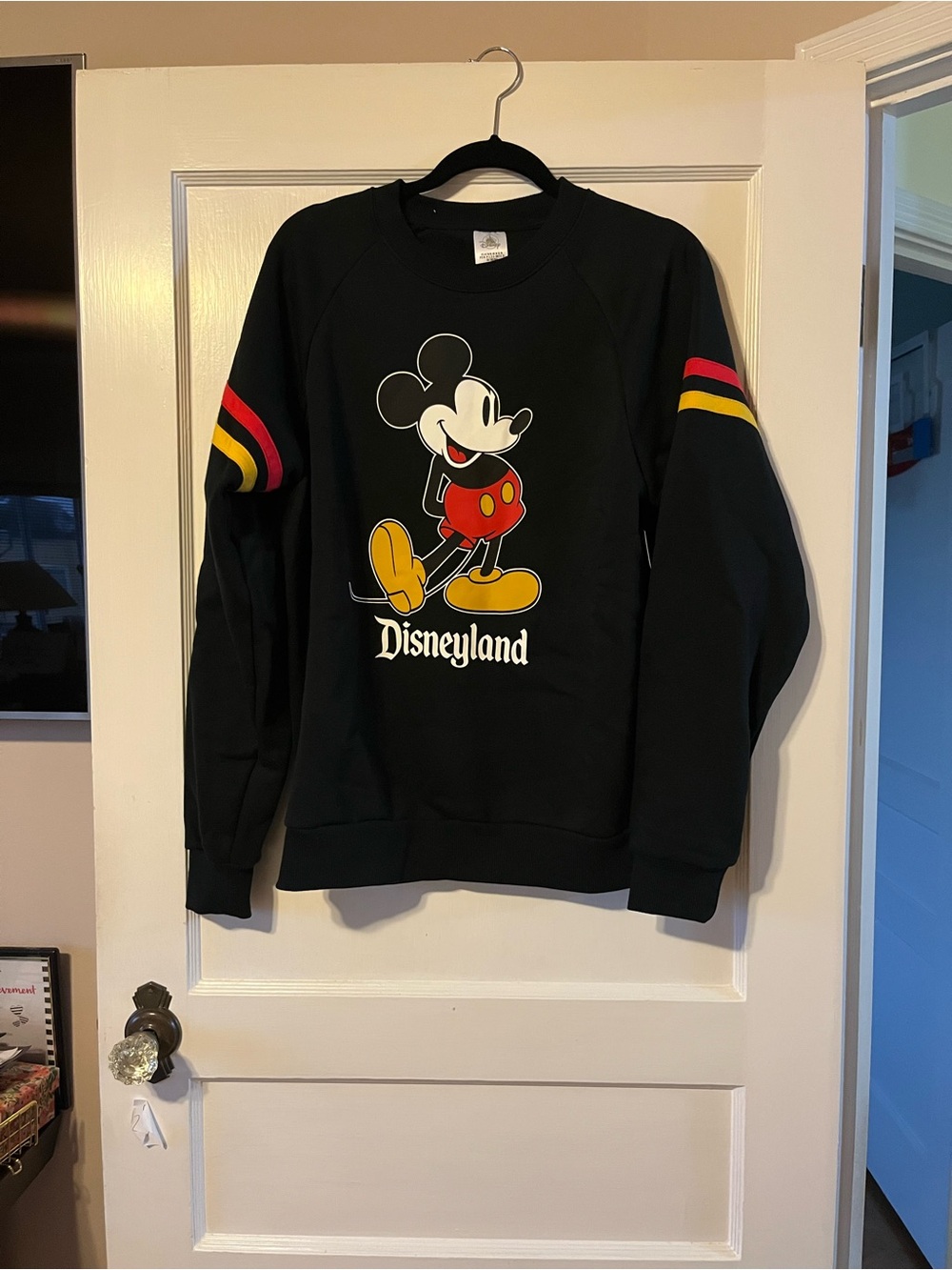 Authentic Disneyland Crewneck Sweatshirt NWT